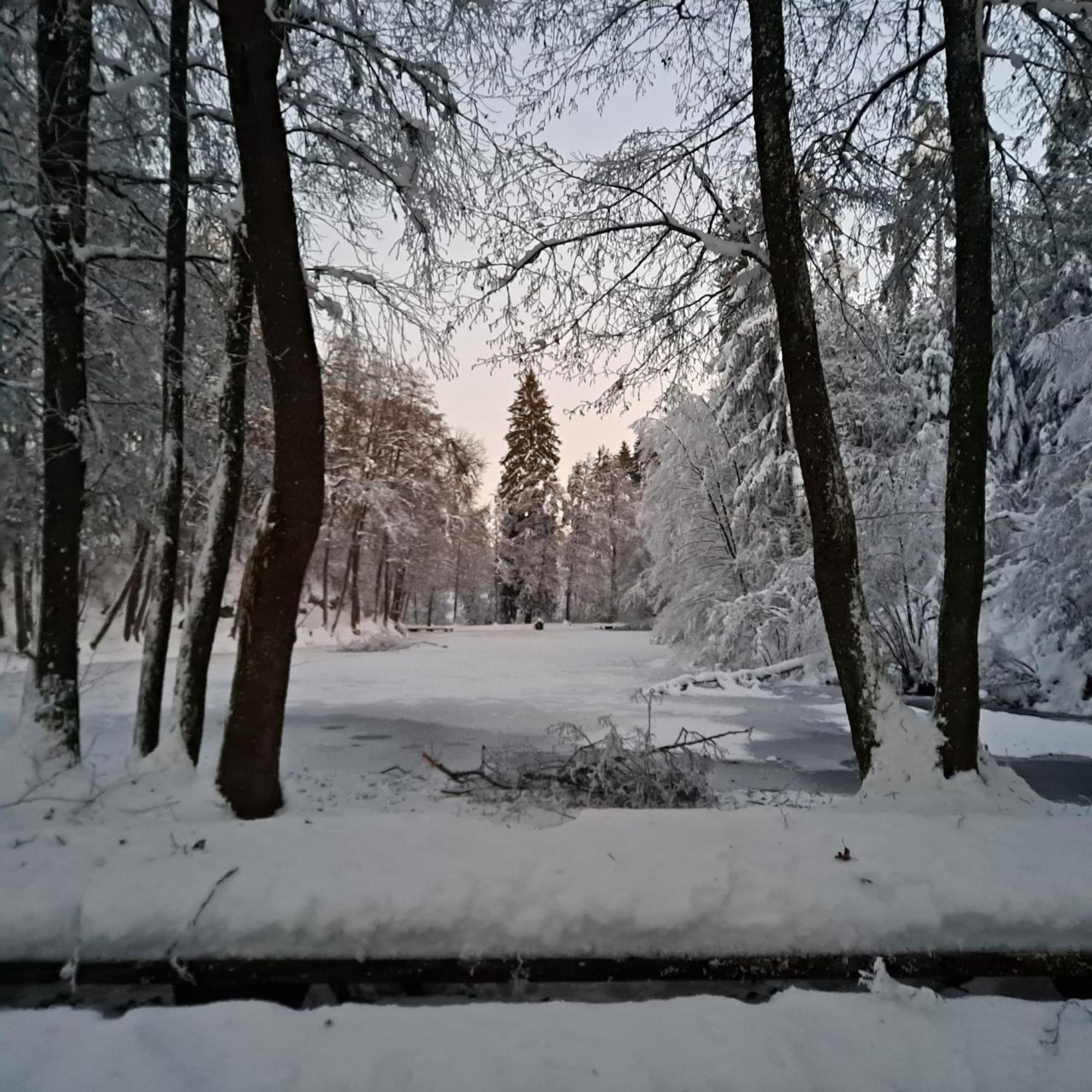 Ferienwohnung Ottmanach Josefhof Pischeldorf Экстерьер фото
