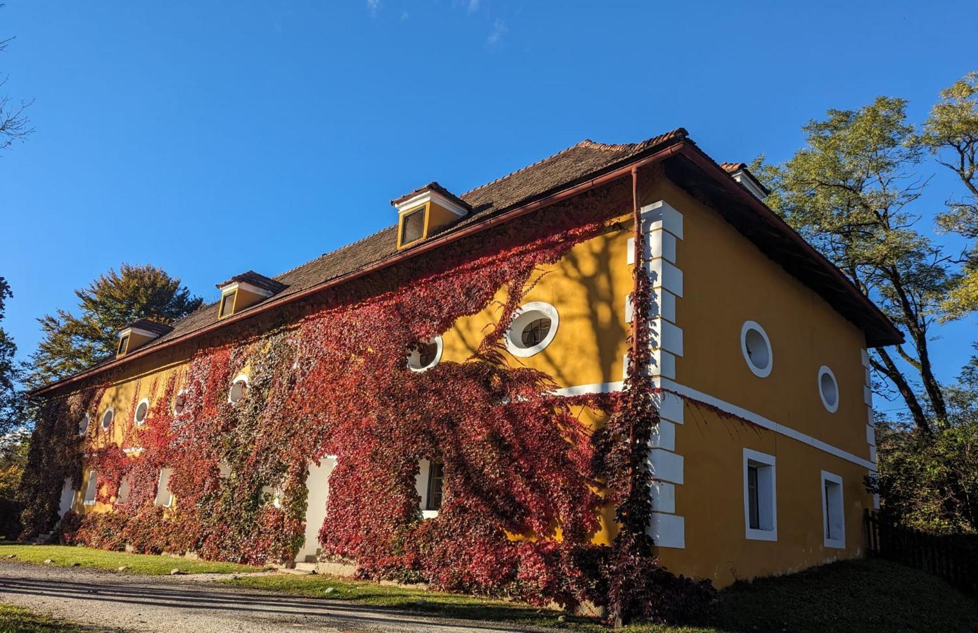 Ferienwohnung Ottmanach Josefhof Pischeldorf Экстерьер фото