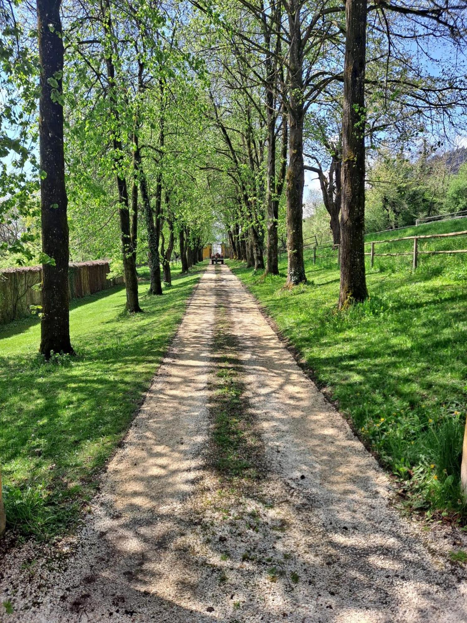 Ferienwohnung Ottmanach Josefhof Pischeldorf Экстерьер фото